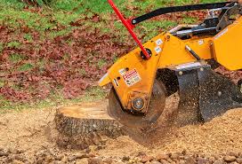 Best Aeration Services  in Chubbuck, ID